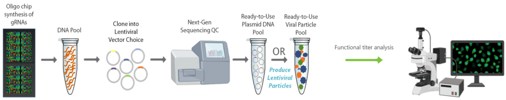 DNA pool library - Skyang Bio