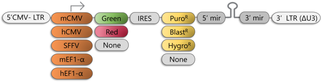 Custom Screening Libraries - Skyang Bio